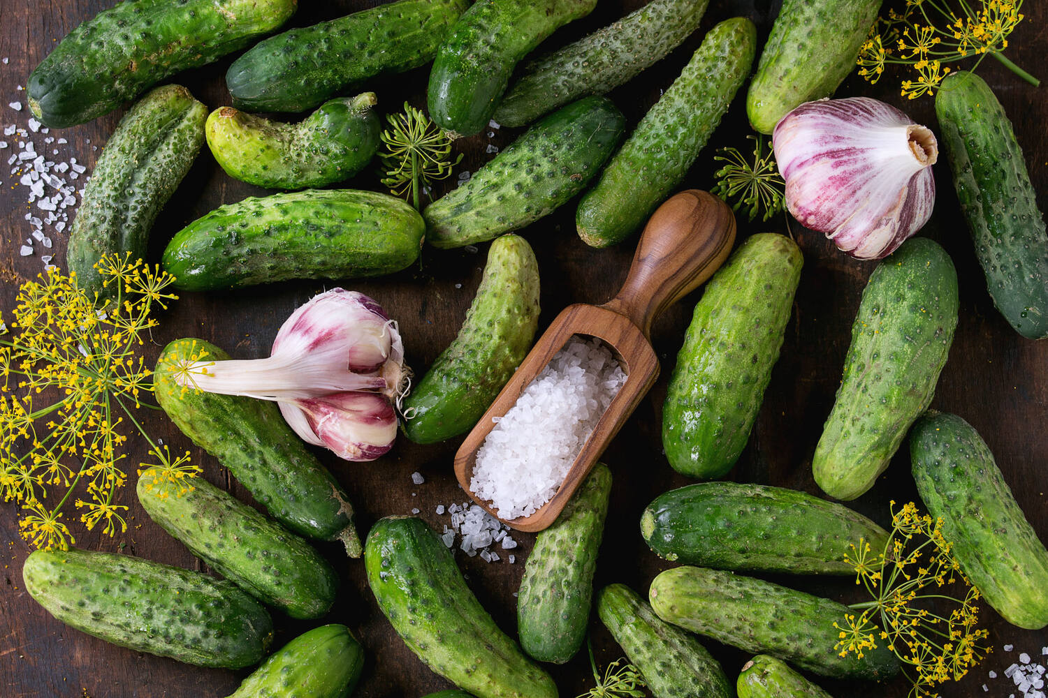 Cornichons frais caisse 10kg